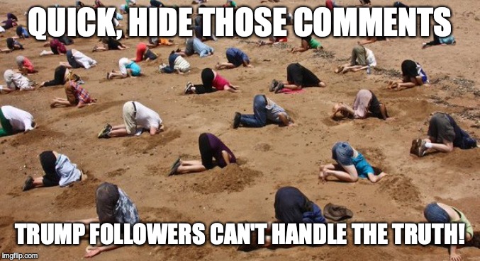 Heads in the Sand | QUICK, HIDE THOSE COMMENTS TRUMP FOLLOWERS CAN'T HANDLE THE TRUTH! | image tagged in heads in the sand | made w/ Imgflip meme maker