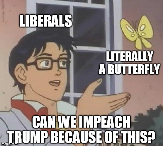 Any day now... | LIBERALS; LITERALLY A BUTTERFLY; CAN WE IMPEACH TRUMP BECAUSE OF THIS? | image tagged in memes,is this a pigeon,trump,libtards,impeach | made w/ Imgflip meme maker
