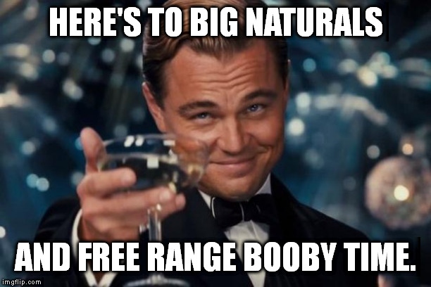 Leonardo Dicaprio Cheers Meme | HERE'S TO BIG NATURALS AND FREE RANGE BOOBY TIME. | image tagged in memes,leonardo dicaprio cheers | made w/ Imgflip meme maker