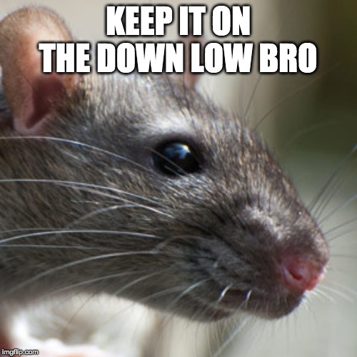 KEEP IT ON THE DOWN LOW BRO | made w/ Imgflip meme maker
