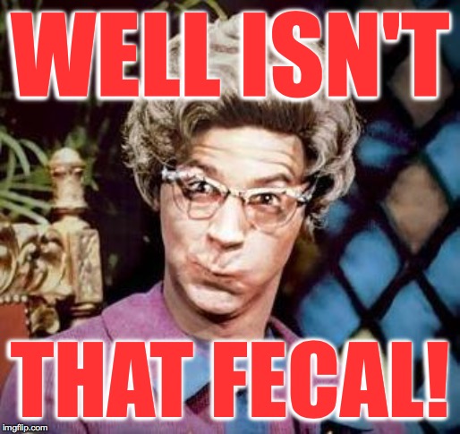 Church Lady | WELL ISN'T THAT FECAL! | image tagged in church lady | made w/ Imgflip meme maker