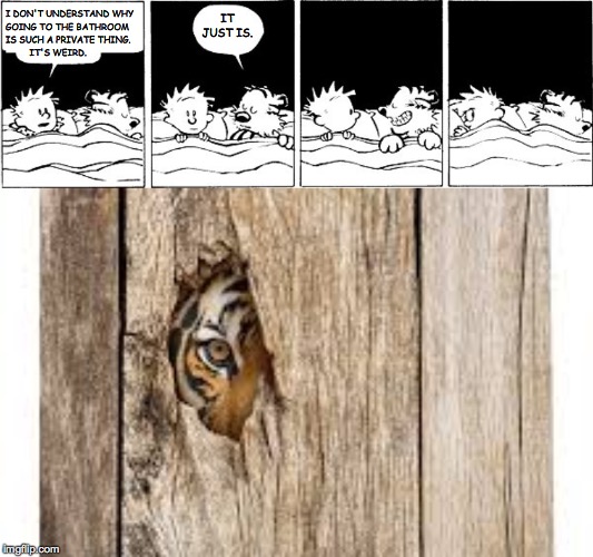 Normalize all the bad behavior! | IT JUST IS. I DON'T UNDERSTAND WHY
GOING TO THE BATHROOM
IS SUCH A PRIVATE THING.
         IT'S WEIRD. | image tagged in bubble burster calvin and hobbes,memes,peephole,privacy | made w/ Imgflip meme maker