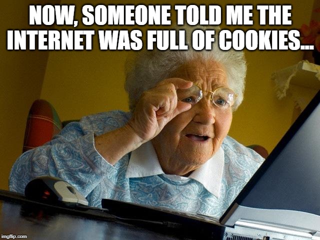 Looking for Sweets | NOW, SOMEONE TOLD ME THE INTERNET WAS FULL OF COOKIES... | image tagged in memes,grandma finds the internet | made w/ Imgflip meme maker