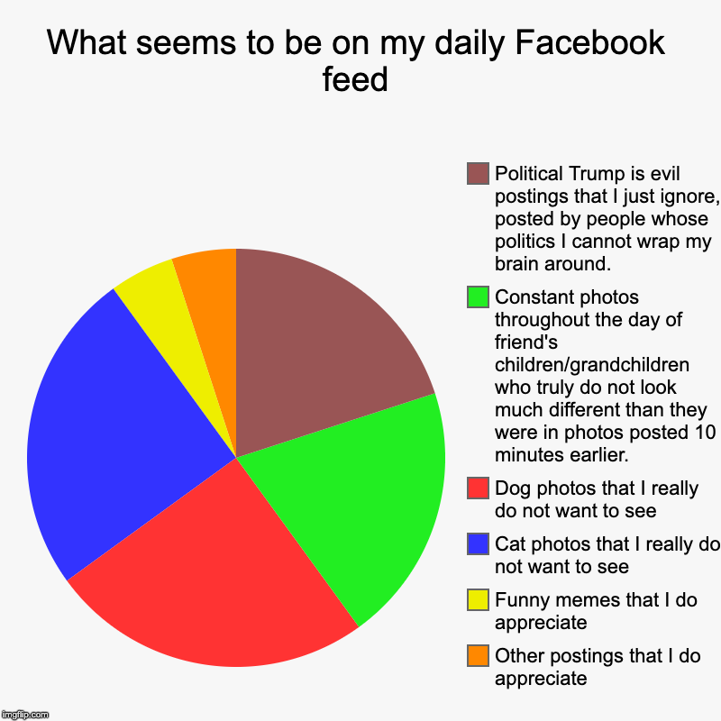 What seems to be on my daily Facebook feed | Other postings that I do appreciate, Funny memes that I do appreciate, Cat photos that I really | image tagged in charts,pie charts | made w/ Imgflip chart maker