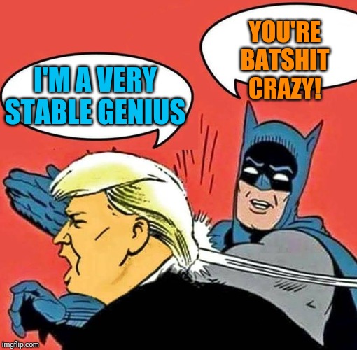 Batman Slapping Trump | YOU'RE BATSHIT CRAZY! I'M A VERY STABLE GENIUS | image tagged in batman slapping trump | made w/ Imgflip meme maker