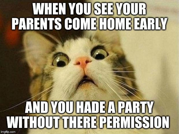 Scared Cat Meme | WHEN YOU SEE YOUR PARENTS COME HOME EARLY; AND YOU HADE A PARTY WITHOUT THERE PERMISSION | image tagged in memes,scared cat | made w/ Imgflip meme maker