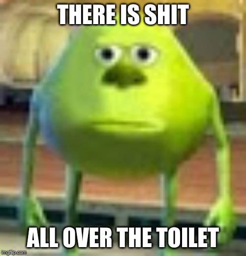Sully Wazowski | THERE IS SHIT; ALL OVER THE TOILET | image tagged in sully wazowski | made w/ Imgflip meme maker