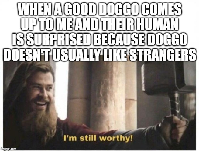 I'm still worthy | WHEN A GOOD DOGGO COMES UP TO ME AND THEIR HUMAN IS SURPRISED BECAUSE DOGGO DOESN'T USUALLY LIKE STRANGERS | image tagged in i'm still worthy | made w/ Imgflip meme maker