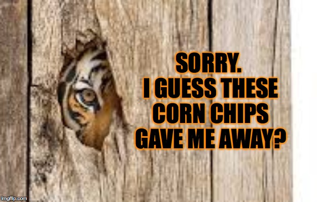 SORRY.  I GUESS THESE CORN CHIPS GAVE ME AWAY? | made w/ Imgflip meme maker