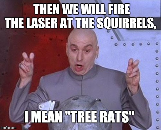 Dr Evil Laser Meme | THEN WE WILL FIRE THE LASER AT THE SQUIRRELS, I MEAN "TREE RATS" | image tagged in memes,dr evil laser | made w/ Imgflip meme maker