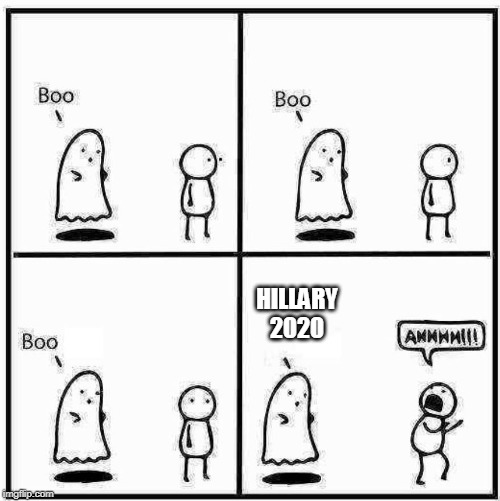 Ghost Boo | HILLARY 2020 | image tagged in ghost boo | made w/ Imgflip meme maker