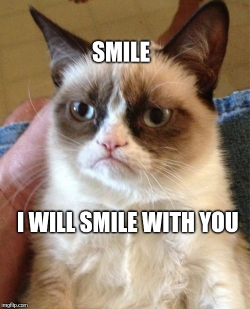 Grumpy Cat | SMILE; I WILL SMILE WITH YOU | image tagged in memes,grumpy cat | made w/ Imgflip meme maker