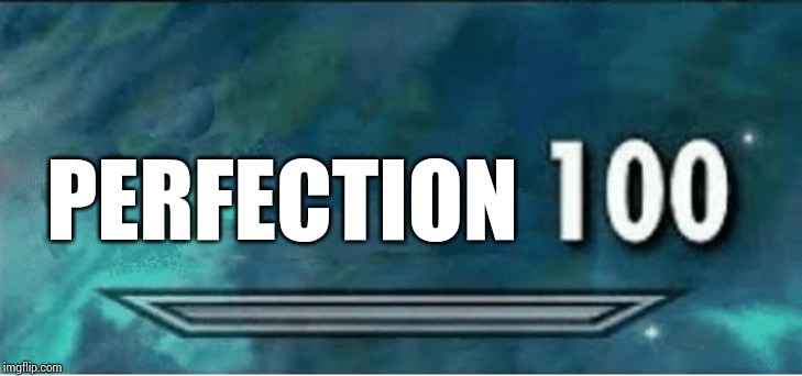 Skyrim 100 Blank | PERFECTION | image tagged in skyrim 100 blank | made w/ Imgflip meme maker