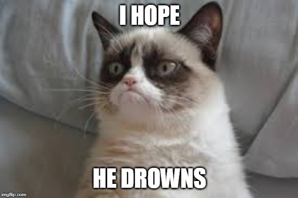 Grumpy cat | I HOPE HE DROWNS | image tagged in grumpy cat | made w/ Imgflip meme maker