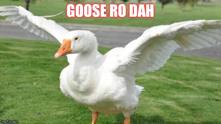 Goose | GOOSE RO DAH | image tagged in goose,untitled goose game | made w/ Imgflip meme maker
