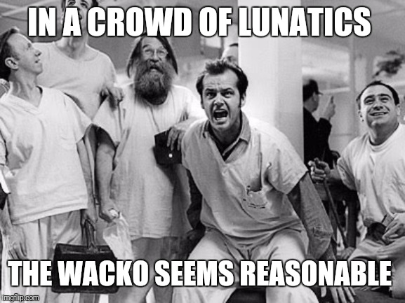 Lunatics | IN A CROWD OF LUNATICS THE WACKO SEEMS REASONABLE | image tagged in lunatics | made w/ Imgflip meme maker