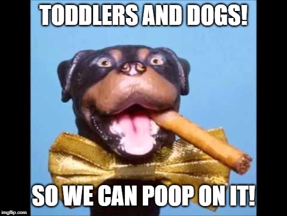 Triumph Comic To Poop On | TODDLERS AND DOGS! SO WE CAN POOP ON IT! | image tagged in triumph comic to poop on | made w/ Imgflip meme maker