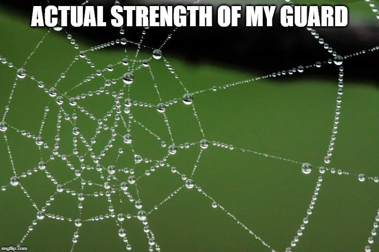 Spider Web | ACTUAL STRENGTH OF MY GUARD | image tagged in spider web,jiu jitsu,mma | made w/ Imgflip meme maker