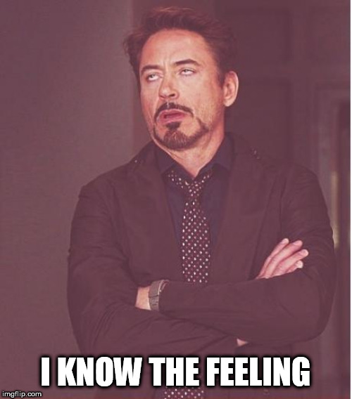 Face You Make Robert Downey Jr Meme | I KNOW THE FEELING | image tagged in memes,face you make robert downey jr | made w/ Imgflip meme maker