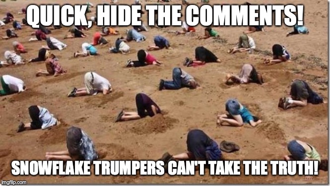 Head in sand | QUICK, HIDE THE COMMENTS! SNOWFLAKE TRUMPERS CAN'T TAKE THE TRUTH! | image tagged in head in sand | made w/ Imgflip meme maker