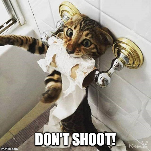DON'T SHOOT! | made w/ Imgflip meme maker