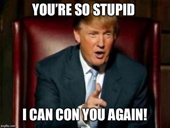 Yo momma | YOU’RE SO STUPID; I CAN CON YOU AGAIN! | image tagged in donald trump | made w/ Imgflip meme maker