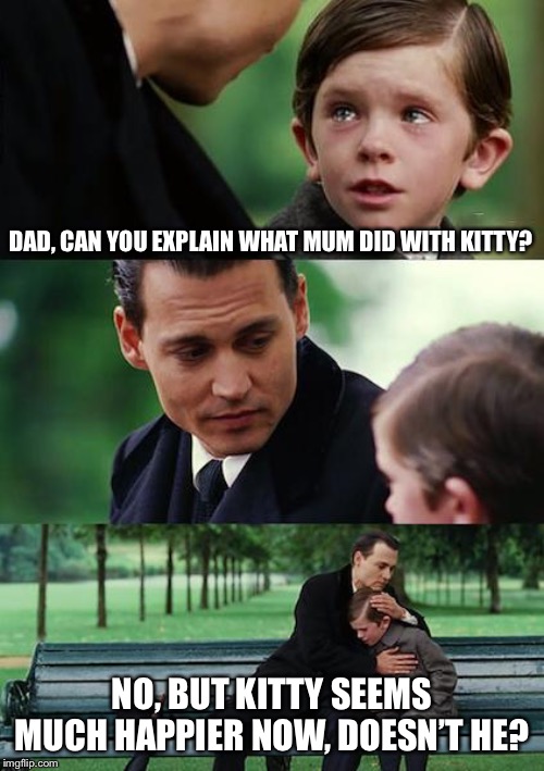 Finding Neverland Meme | DAD, CAN YOU EXPLAIN WHAT MUM DID WITH KITTY? NO, BUT KITTY SEEMS MUCH HAPPIER NOW, DOESN’T HE? | image tagged in memes,finding neverland | made w/ Imgflip meme maker