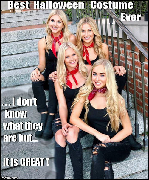 Happy Halloween Month--nest costumes ever... | image tagged in happy halloween,babes,blondes,lol so funny,funny memes,best costumes | made w/ Imgflip meme maker