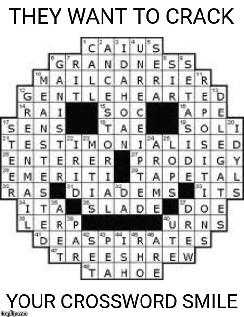 THEY WANT TO CRACK YOUR CROSSWORD SMILE | made w/ Imgflip meme maker