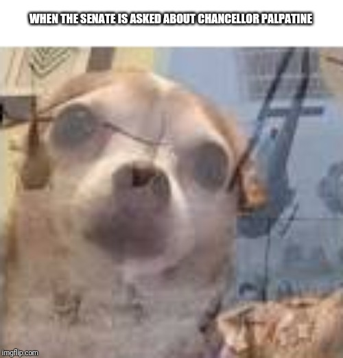 PTSD dog | WHEN THE SENATE IS ASKED ABOUT CHANCELLOR PALPATINE | image tagged in ptsd | made w/ Imgflip meme maker