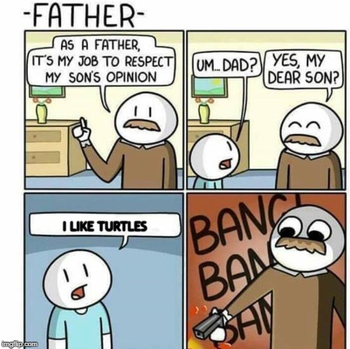 As a Father | I LIKE TURTLES | image tagged in as a father | made w/ Imgflip meme maker