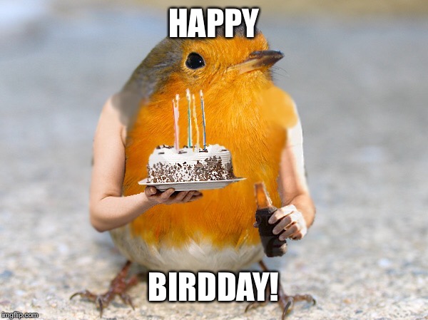 Birthday bird with arms | HAPPY; BIRDDAY! | image tagged in birthday bird with arms | made w/ Imgflip meme maker