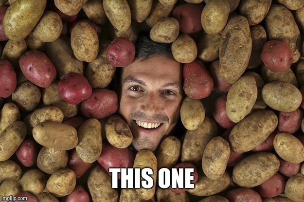 Potatoes lover | THIS ONE | image tagged in potatoes lover | made w/ Imgflip meme maker