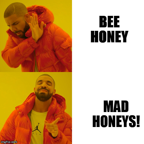 Drake Hotline Bling Meme | BEE HONEY MAD HONEYS! | image tagged in memes,drake hotline bling | made w/ Imgflip meme maker