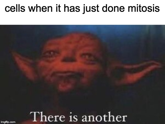 yoda there is another | cells when it has just done mitosis | image tagged in yoda there is another | made w/ Imgflip meme maker