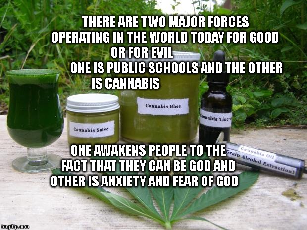 Cannabis | THERE ARE TWO MAJOR FORCES OPERATING IN THE WORLD TODAY FOR GOOD OR FOR EVIL                   
         ONE IS PUBLIC SCHOOLS AND THE OTHER IS CANNABIS; ONE AWAKENS PEOPLE TO THE FACT THAT THEY CAN BE GOD AND OTHER IS ANXIETY AND FEAR OF GOD | image tagged in cannabis | made w/ Imgflip meme maker