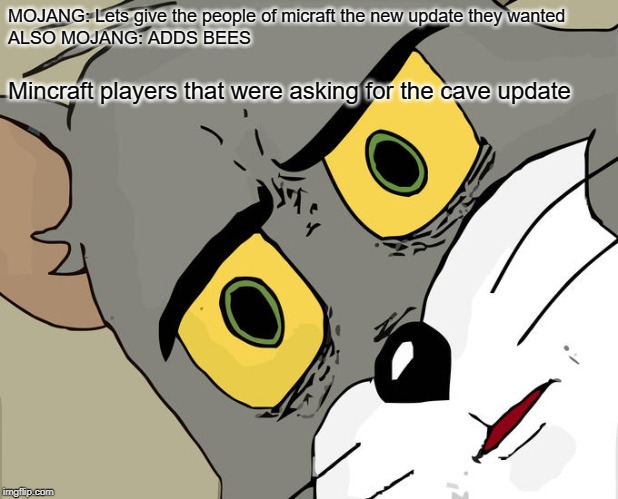 Unsettled Tom | MOJANG: Lets give the people of micraft the new update they wanted
ALSO MOJANG: ADDS BEES; Mincraft players that were asking for the cave update | image tagged in memes,unsettled tom | made w/ Imgflip meme maker