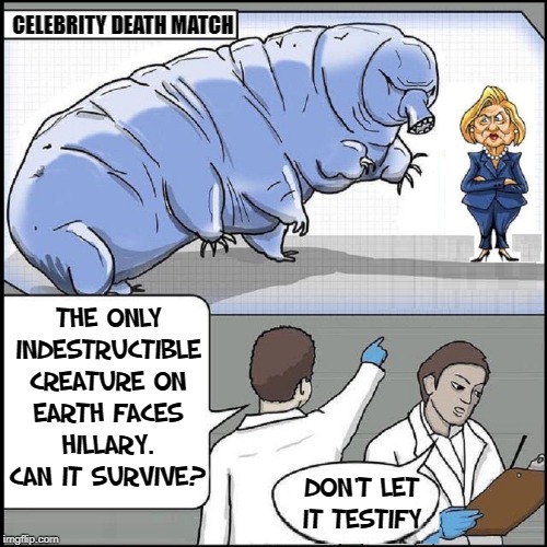 Hillary Faces the Tardigrade (Labeled Indestructible by Science) | CELEBRITY DEATH MATCH THE ONLY INDESTRUCTIBLE CREATURE ON EARTH FACES HILLARY. CAN IT SURVIVE? DON'T LET IT TESTIFY | image tagged in vince vance,hillary clinton,hillary rodham,water bear,tardigrade,celebrity death match | made w/ Imgflip meme maker