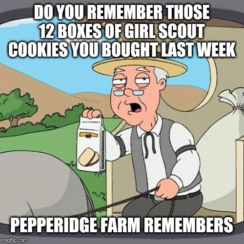 Pepperidge Farm Remembers Meme | DO YOU REMEMBER THOSE 12 BOXES OF GIRL SCOUT COOKIES YOU BOUGHT LAST WEEK; PEPPERIDGE FARM REMEMBERS | image tagged in memes,pepperidge farm remembers | made w/ Imgflip meme maker