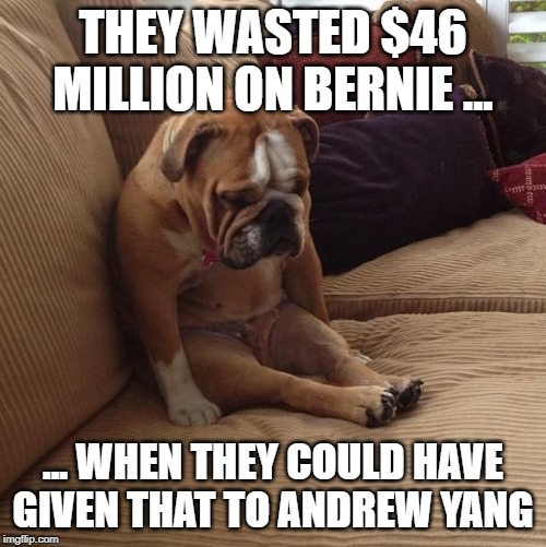 Wasting Money on Bernie Sanders | THEY WASTED $46 MILLION ON BERNIE ... ... WHEN THEY COULD HAVE GIVEN THAT TO ANDREW YANG | image tagged in bernie,bernie sanders,andrew yang,yang gang,yang 2020 | made w/ Imgflip meme maker
