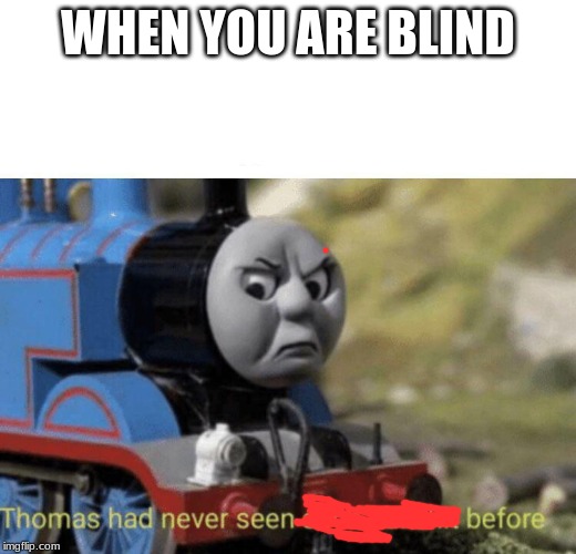 Thomas had never seen such bullshit before | WHEN YOU ARE BLIND | image tagged in thomas had never seen such bullshit before | made w/ Imgflip meme maker