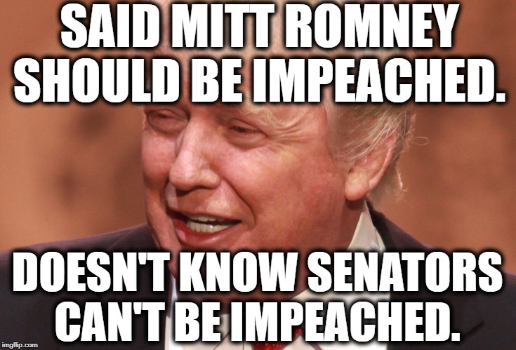 Another Genius Moment | SAID MITT ROMNEY SHOULD BE IMPEACHED. DOESN'T KNOW SENATORS CAN'T BE IMPEACHED. | image tagged in donald trump,impeach trump,mitt romney,senators,treason,traitor | made w/ Imgflip meme maker