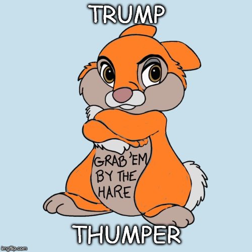 TRUMP; THUMPER | image tagged in trump,liberal,orange,democrat,thumper | made w/ Imgflip meme maker