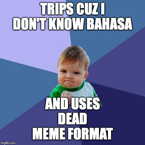 TRIPS CUZ I DON'T KNOW BAHASA AND USES DEAD MEME FORMAT | image tagged in memes,success kid | made w/ Imgflip meme maker