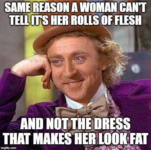 Creepy Condescending Wonka Meme | SAME REASON A WOMAN CAN'T TELL IT'S HER ROLLS OF FLESH AND NOT THE DRESS THAT MAKES HER LOOK FAT | image tagged in memes,creepy condescending wonka | made w/ Imgflip meme maker