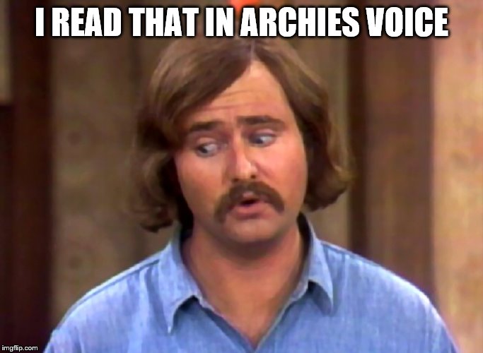 meathead | I READ THAT IN ARCHIES VOICE | image tagged in meathead | made w/ Imgflip meme maker