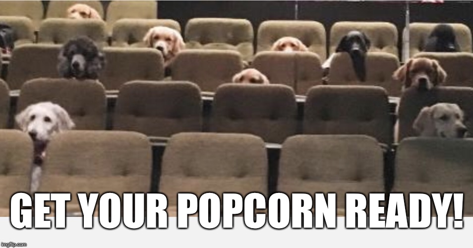 Dogs at the movies | GET YOUR POPCORN READY! | image tagged in dogs at the movies | made w/ Imgflip meme maker