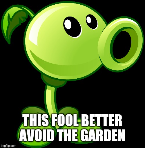 Peashooter | THIS FOOL BETTER AVOID THE GARDEN | image tagged in peashooter | made w/ Imgflip meme maker