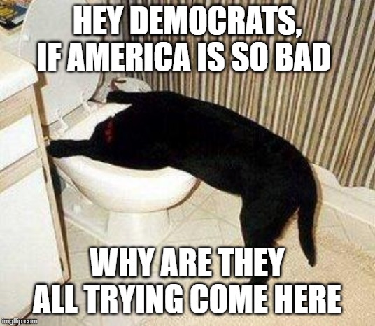 Sick Puppy | HEY DEMOCRATS, IF AMERICA IS SO BAD; WHY ARE THEY ALL TRYING COME HERE | image tagged in sick puppy | made w/ Imgflip meme maker