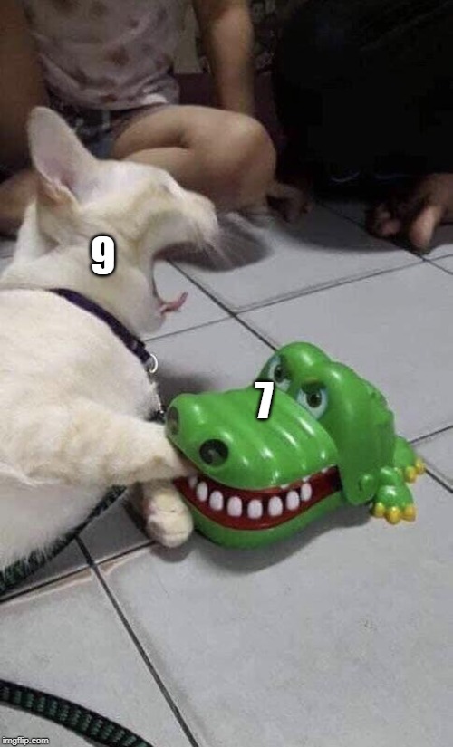 Cat bitten by alligator | 9; 7 | image tagged in cat bitten by alligator | made w/ Imgflip meme maker